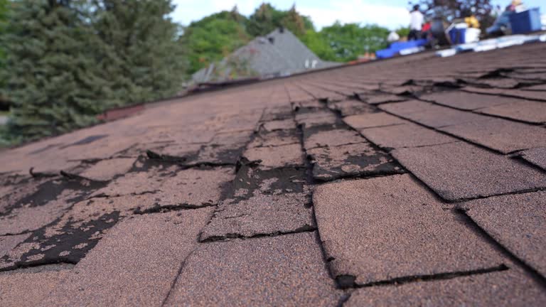 Fast & Reliable Emergency Roof Repairs in Valley Green, PA